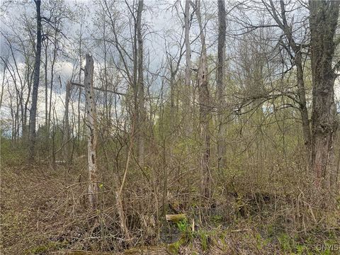 Unimproved Land in Rome NY Seifert Road.jpg