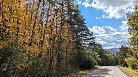  in Madison NY 0 Johnny Cake Hill Road.jpg