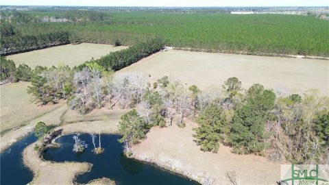  in Clyo GA 680 Porters Landing Road 11.jpg