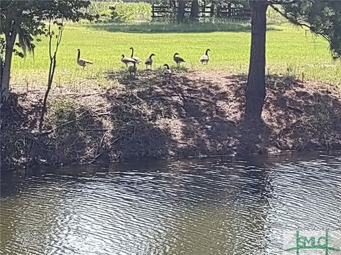  in Clyo GA 680 Porters Landing Road 26.jpg