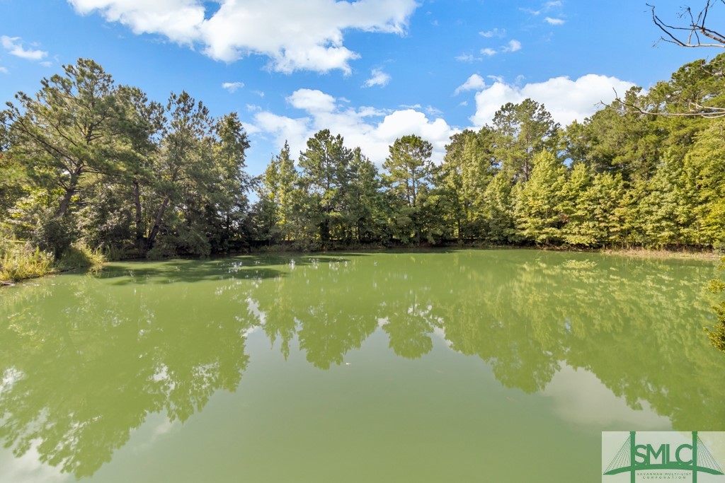 Single Family Residence in Bloomingdale GA 7016 17 Highway 25.jpg