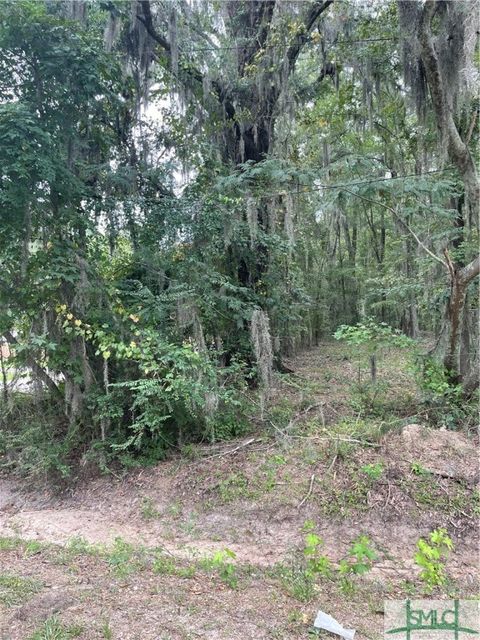  in Savannah GA 0 Big Hill Road.jpg