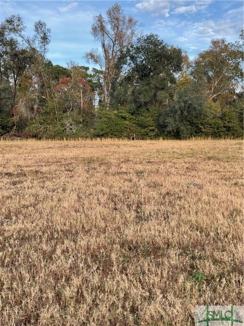  in Guyton GA 2269 119 Highway 4.jpg