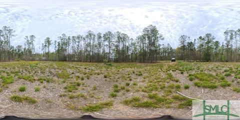 Agriculture in Fleming GA Lot 11 Pate Rogers Road.jpg
