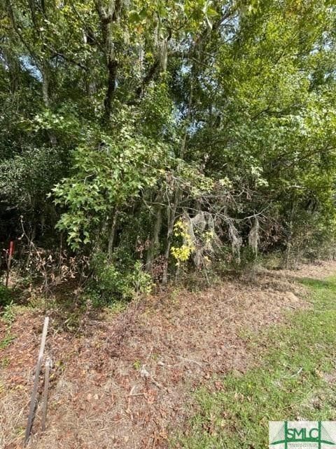  in Guyton GA 1911 Hwy 17 Road 3.jpg