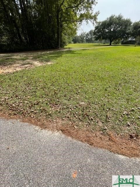 in Guyton GA 1911 Hwy 17 Road 1.jpg