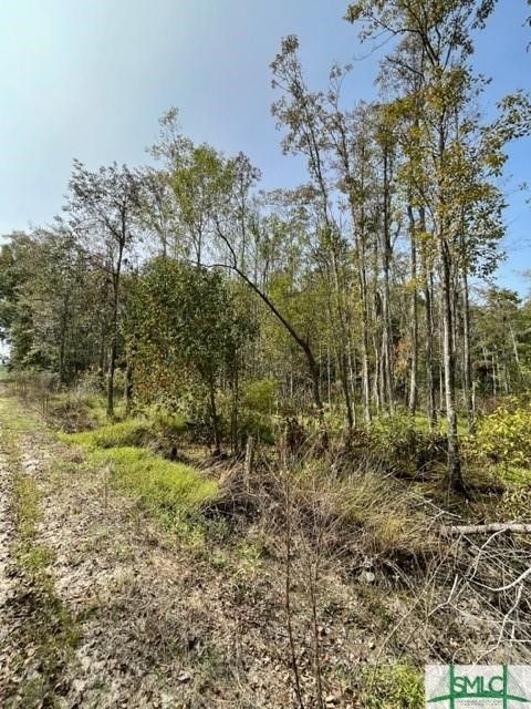  in Guyton GA 1911 Hwy 17 Road 2.jpg