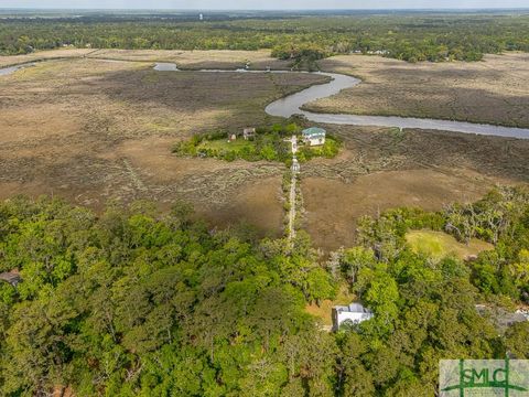  in Darien GA Lot 8 W Black Island Road.jpg