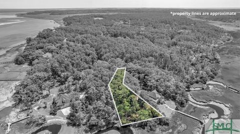  in Townsend GA Lot 208 Riverpoint Lane.jpg