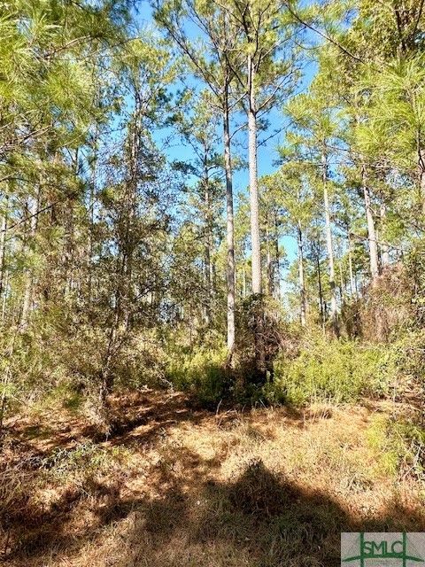  in Townsend GA 0 Marsh Way.jpg
