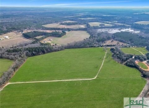 Agriculture in Statesboro GA 0 Macedonia Road.jpg