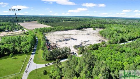 Industrial in Clyo GA 1382 Reedsville Road.jpg