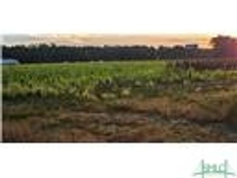  in Brooklet GA 134 Wf Brogdon Lane.jpg