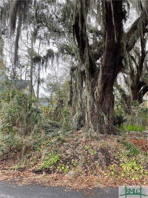  in Savannah GA 0 Albert Street.jpg