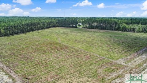 Agriculture in Guyton GA 520 Glory Drive.jpg