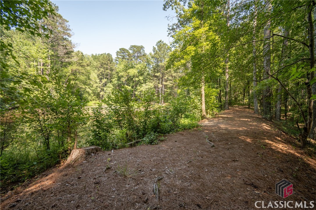 Single Family Residence in Bishop GA 4051 Whitlow Ridge Drive 67.jpg