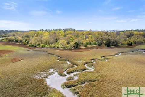  in Midway GA LOT 8 Bermuda Bluff Lane.jpg