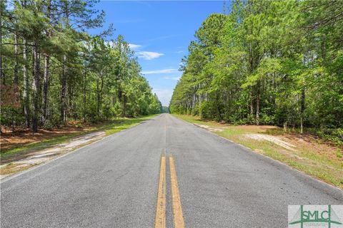 Agriculture in Brooklet GA 6000 Old Flat Forjd Road.jpg