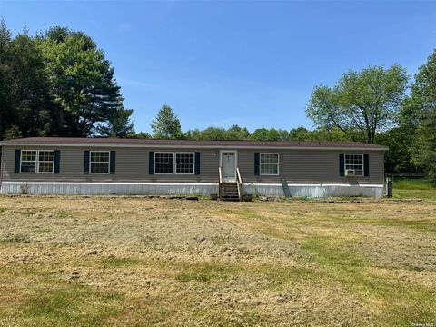 Mobile Home in Out Of Area Town NY 85 Britman Road.jpg