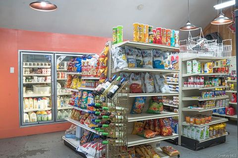 Business in Fleischmanns NY 1293 Main Street 9.jpg