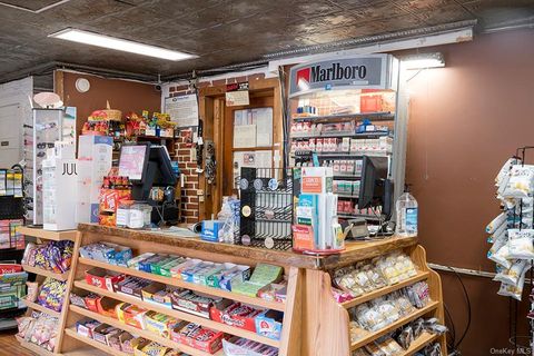 Business in Fleischmanns NY 1293 Main Street 3.jpg