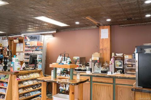 Business in Fleischmanns NY 1293 Main Street 4.jpg