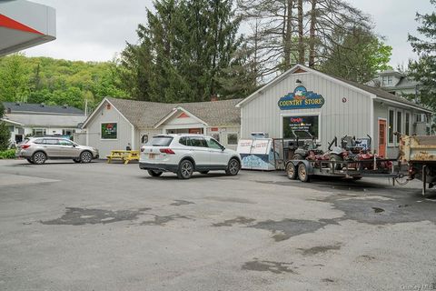Business in Fleischmanns NY 1293 Main Street 1.jpg
