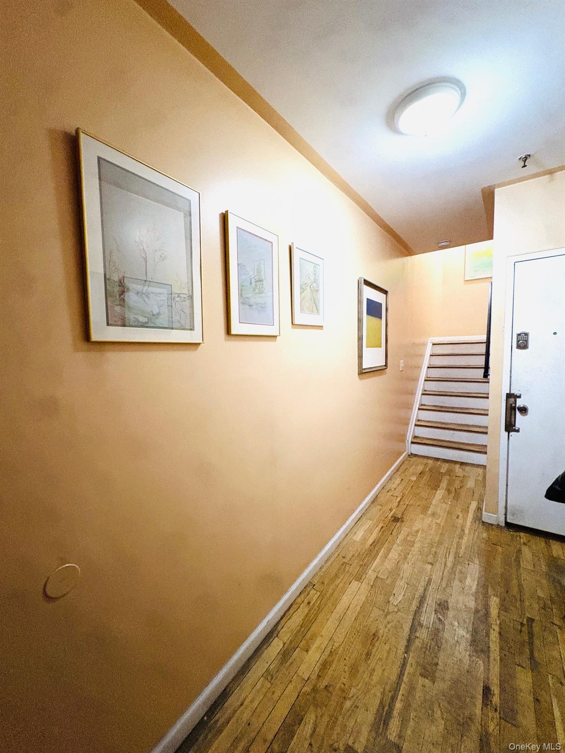 789 Jennings St, Bronx, NY 10459 photo