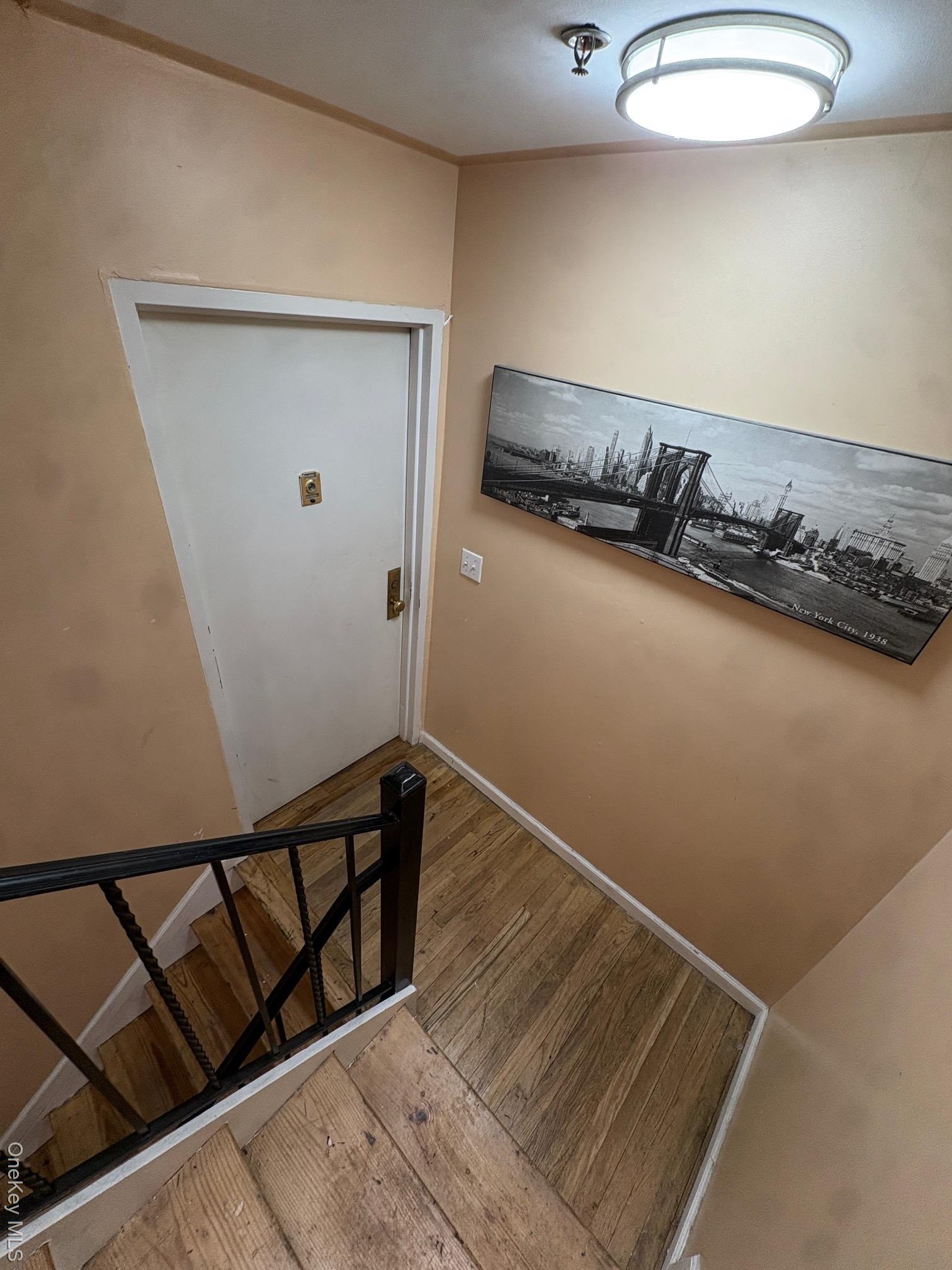 789 Jennings St, Bronx, NY 10459 photo
