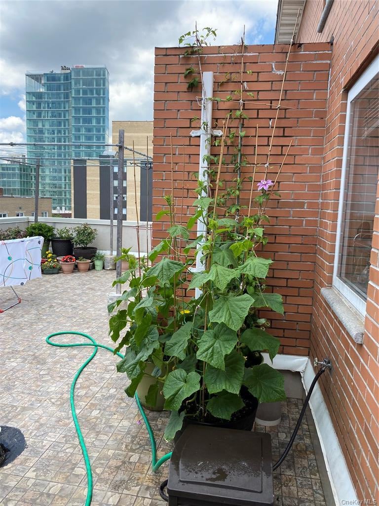 14075 Ash Ave #7 D, Flushing, NY 11355 photo