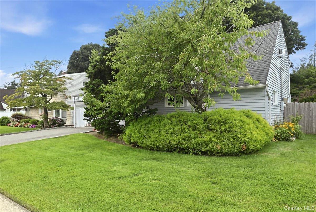 64 Bridle Ln, Hicksville, NY 11801 photo