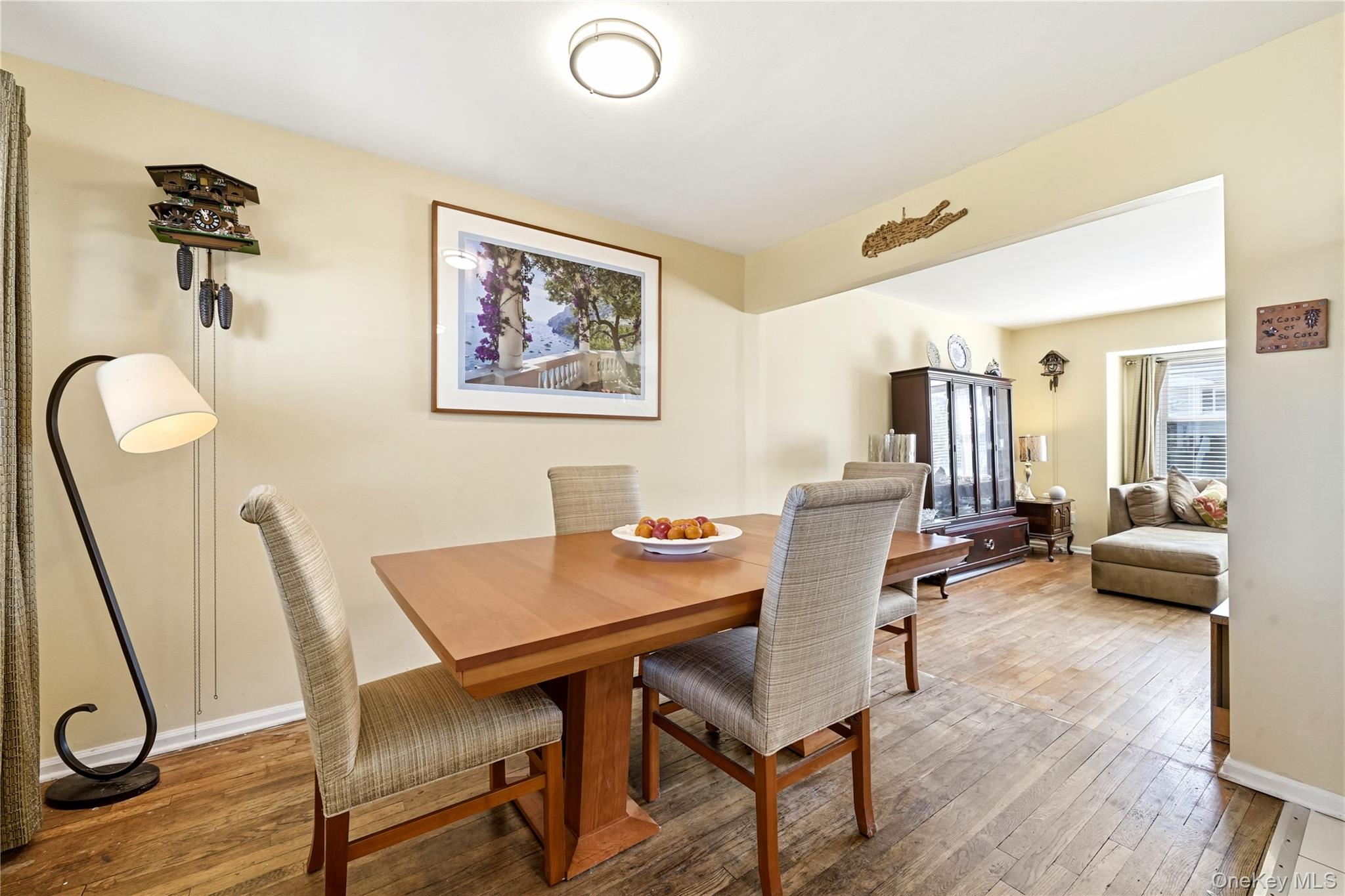 217 N Rutherford Ave, Massapequa, NY 11758 photo