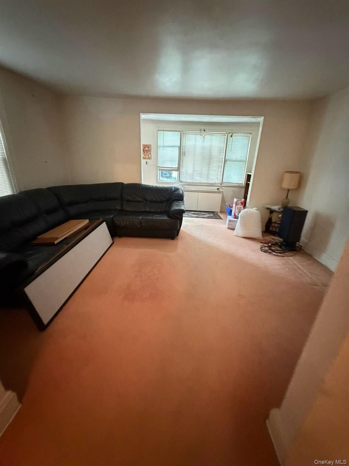 4641 161st, Flushing, NY 11358 photo