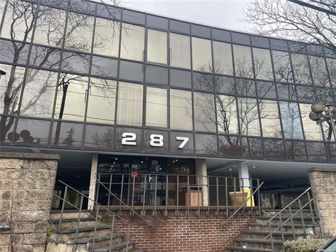Office in Great Neck NY 287 Northern Boulevard.jpg