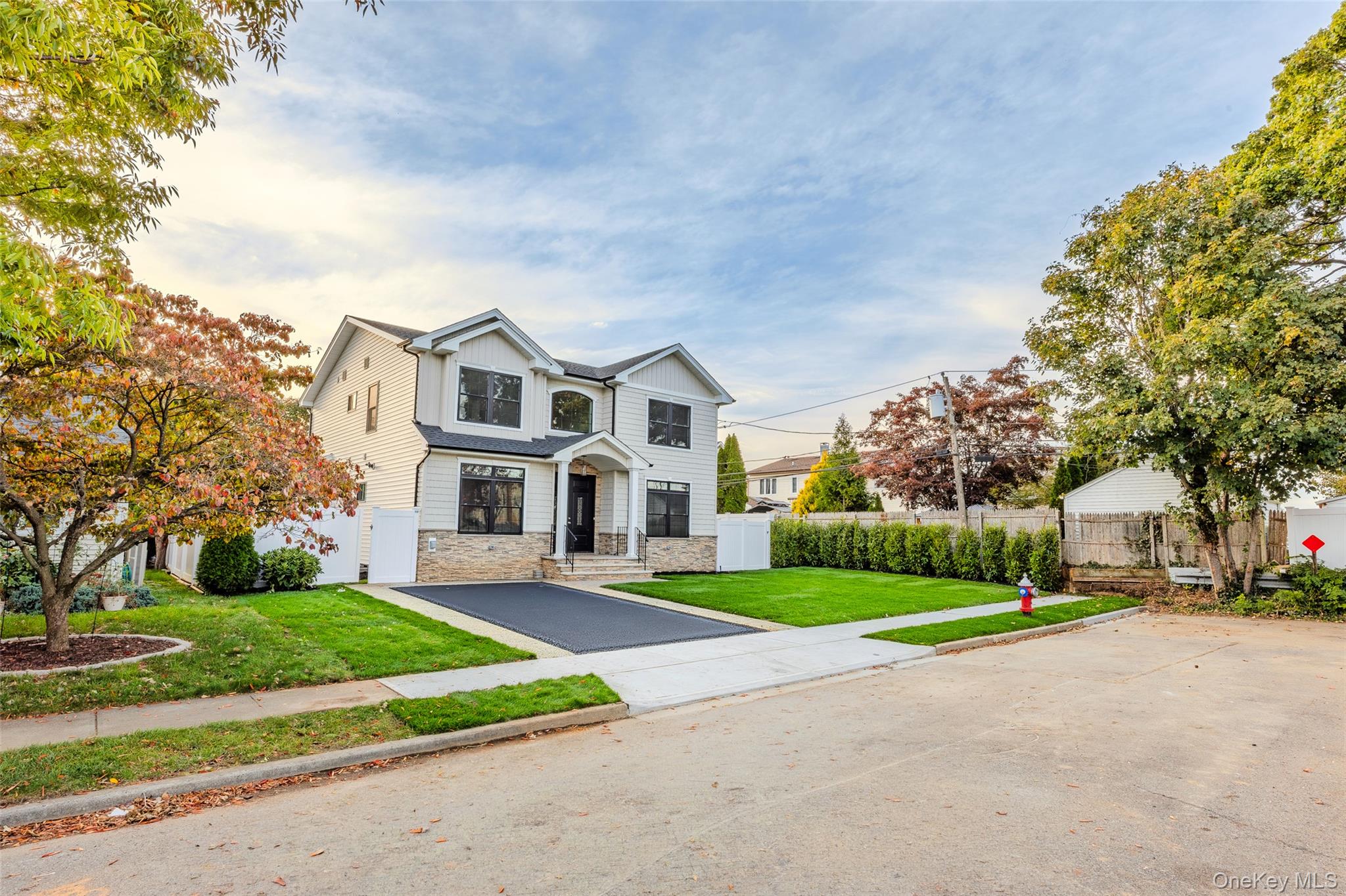 30 Briggs St, Hicksville, NY 11801 photo