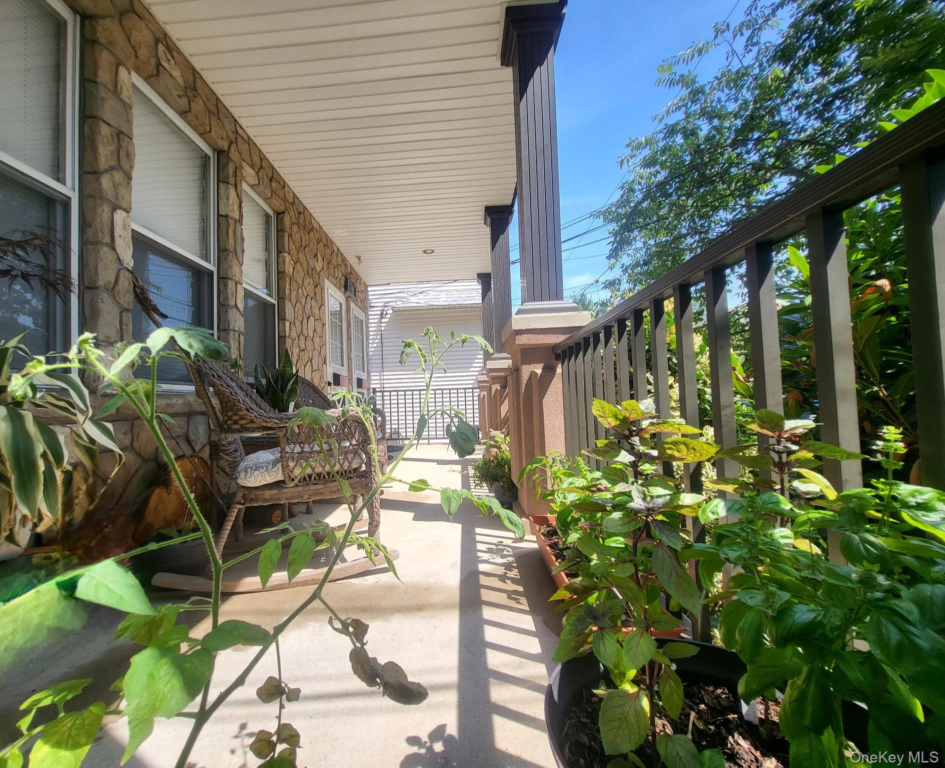 99 W 37th St, Bayonne, NJ 07002 photo