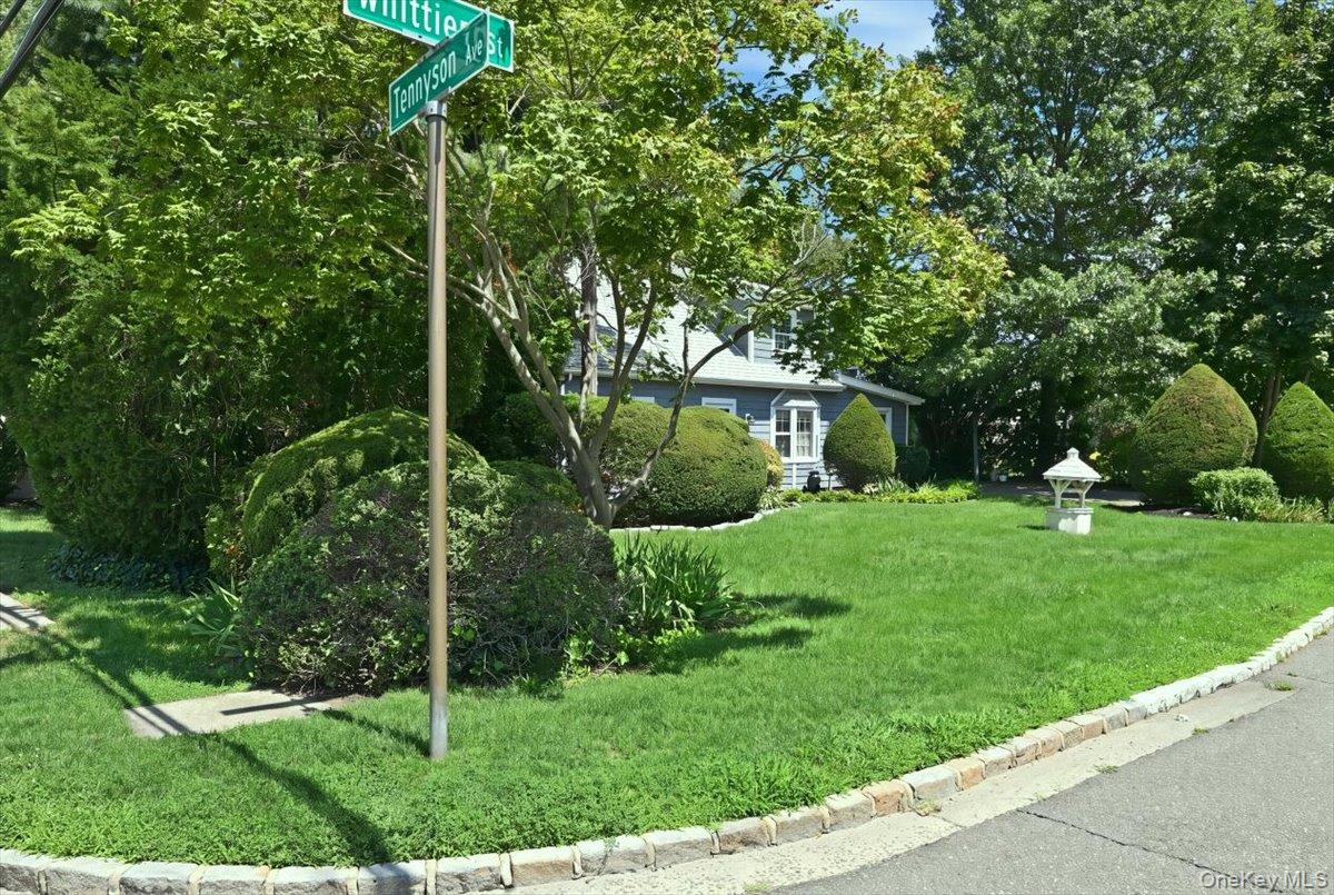 635 Whittier St, Westbury, NY 11590 photo