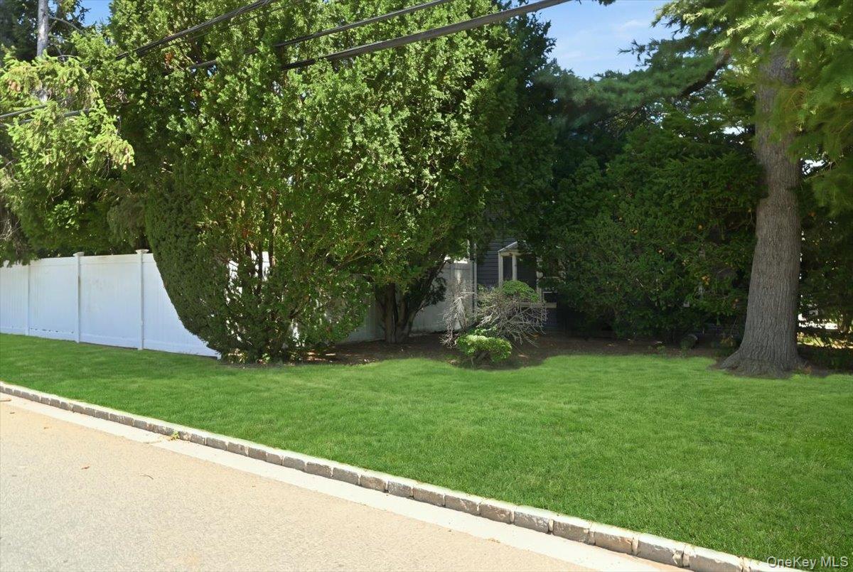 635 Whittier St, Westbury, NY 11590 photo
