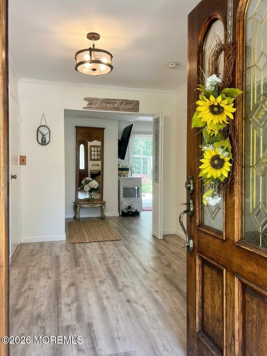 12 Ned Dr, Matawan, NJ 07747 photo