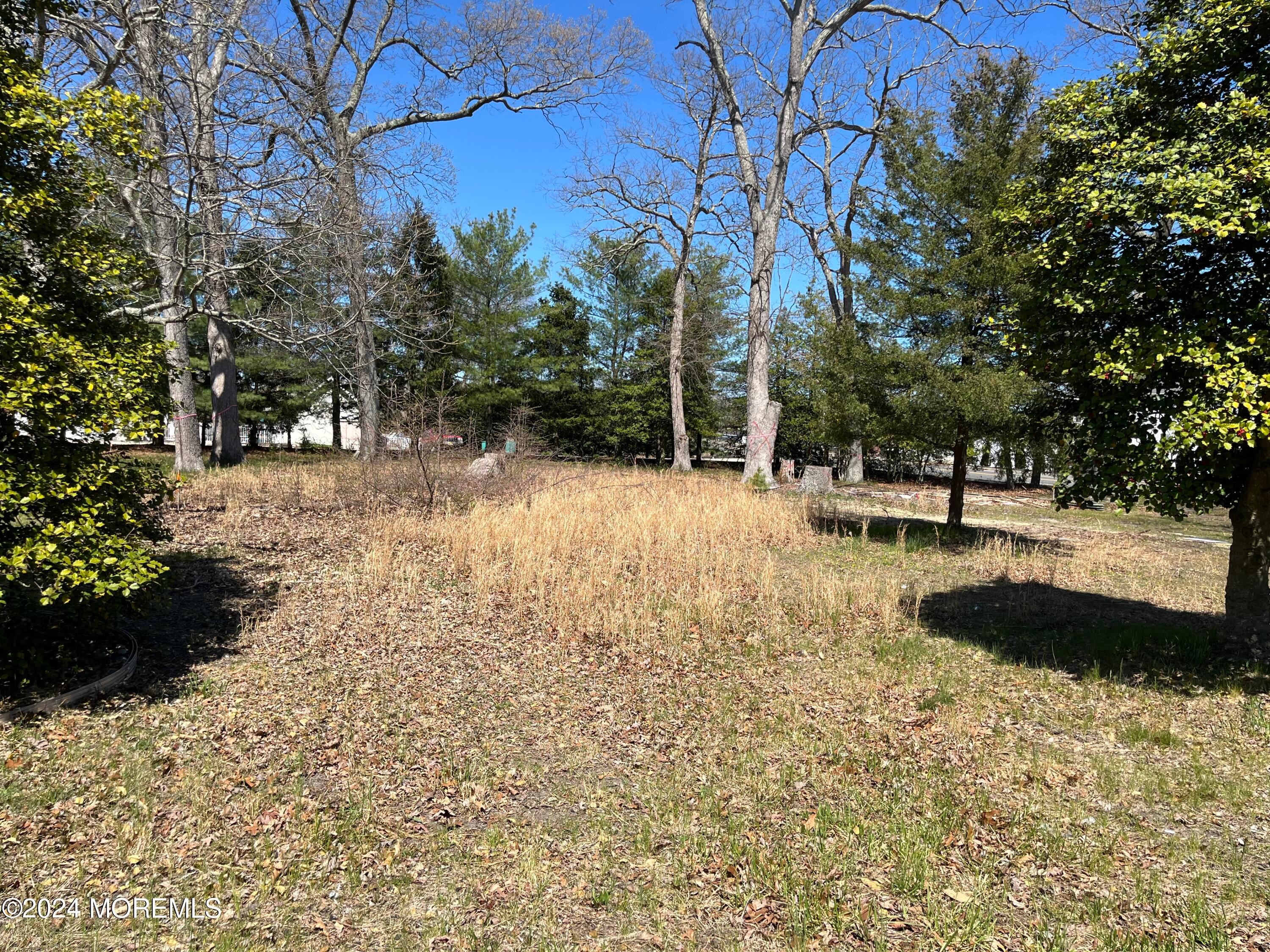 456 Princeton Ave, Brick, NJ 08724 photo
