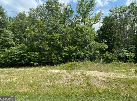 Unimproved Land in Clyo GA 0 Reedsville Road.jpg