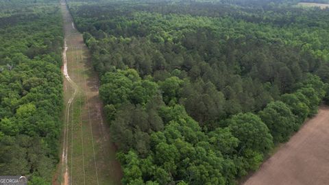 Unimproved Land in Sylvania GA 0 Arnett School Road.jpg