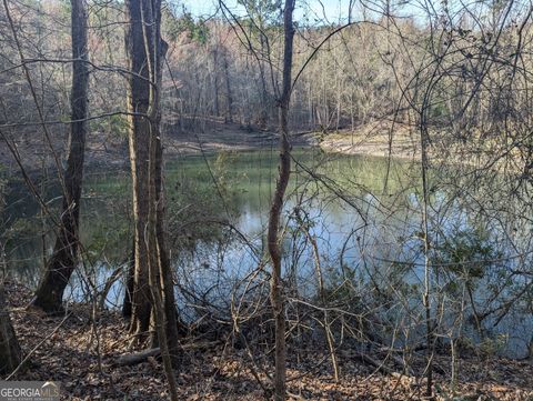 Unimproved Land in Dry Branch GA 000 PARKER.jpg