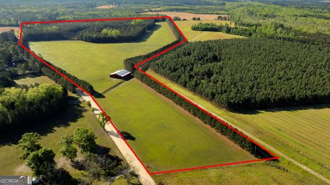 Agriculture in Brooklet GA 3276 Mud Road.jpg