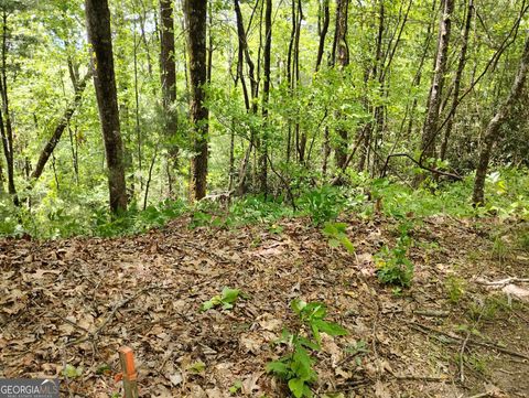  in Sky Valley GA 0 Ridgepole Drive #LOT 120.jpg