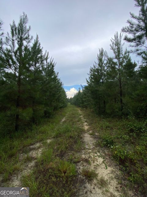 Agriculture in Bartow GA 0 Highway 242.jpg