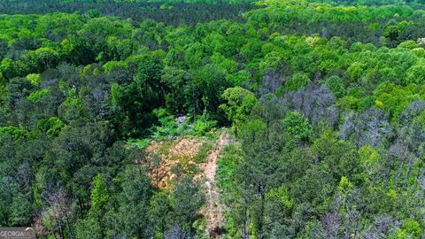  in Griffin GA 603 Musgrove Road.jpg