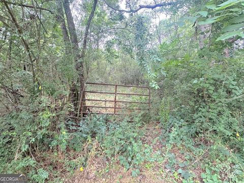 Unimproved Land in Cartersville GA 0 Lewis Road.jpg