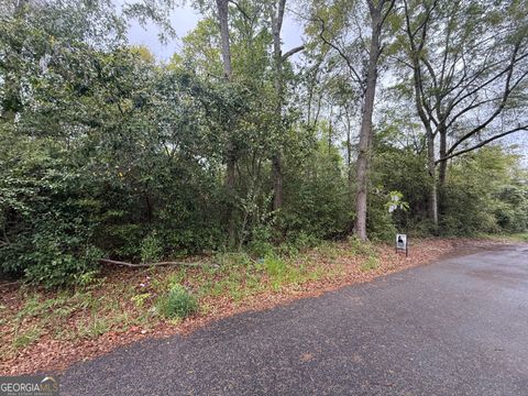  in Danville GA 0 Ash Alley 1.jpg