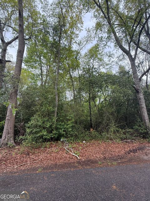  in Danville GA 0 Ash Alley.jpg